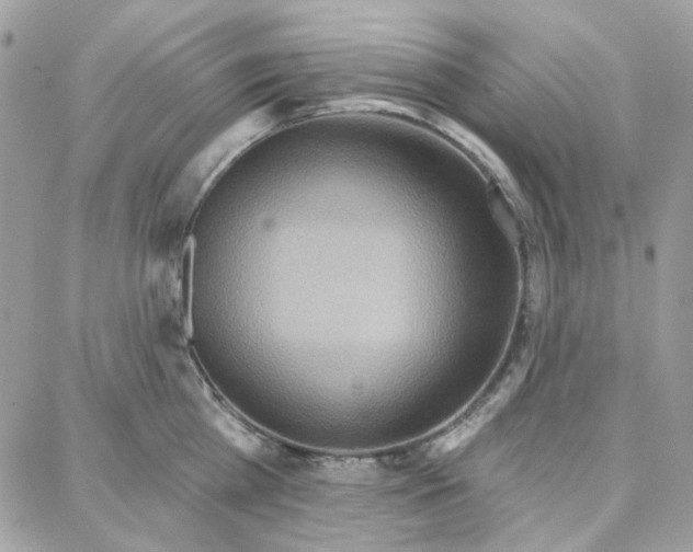 X0000087740809200706041035