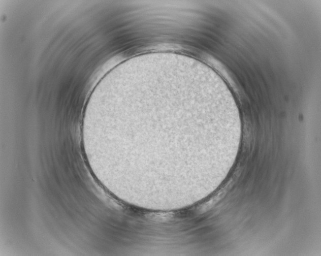 X0000087740810200706041035