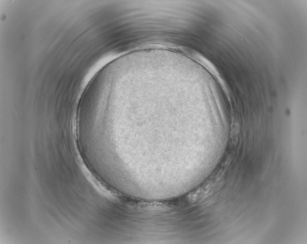 X0000087740811200706041035