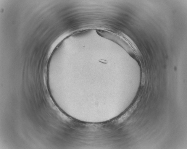 X0000087740812200706041035