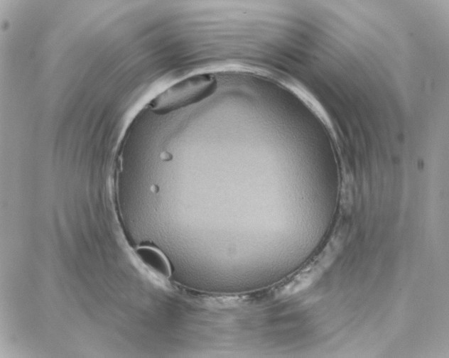 X0000087740813200706041035