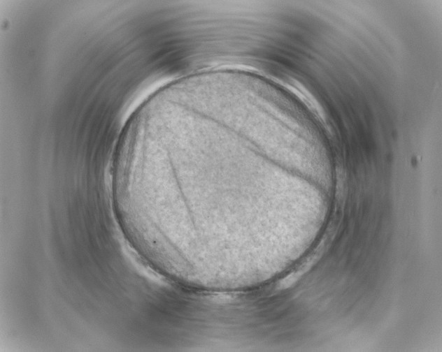 X0000087740814200706041035