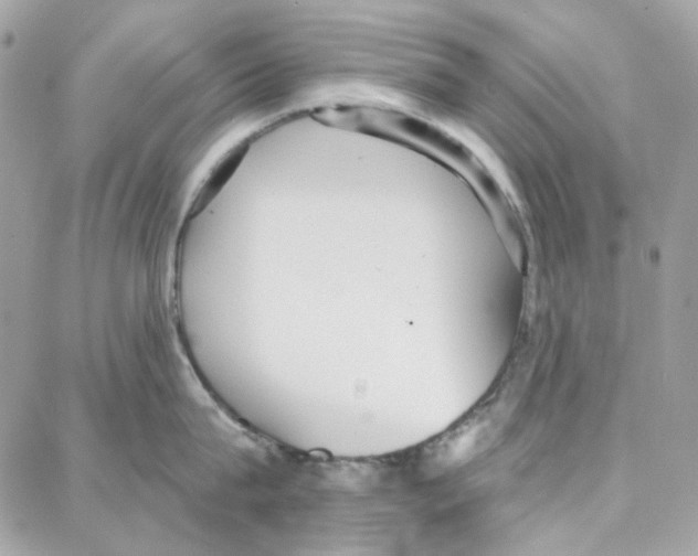 X0000087740815200706041035