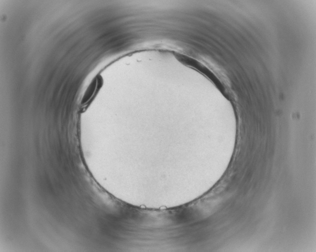 X0000087740816200706041035