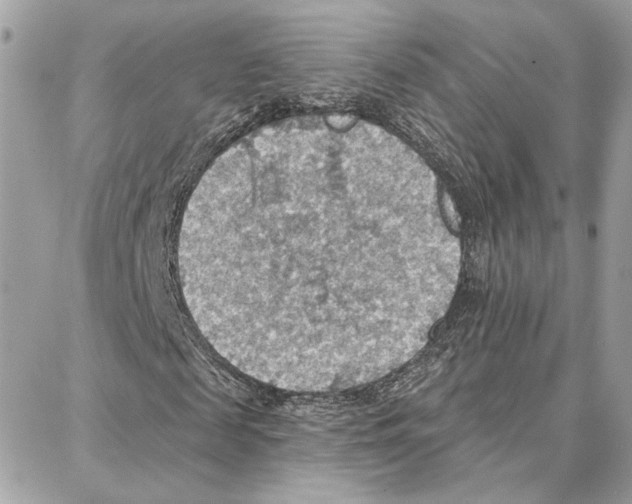 X0000087740817200706041034