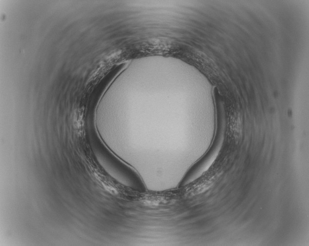 X0000087740818200706041034