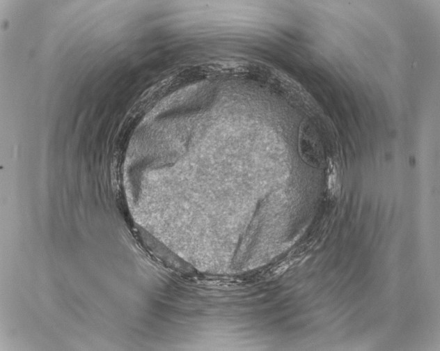 X0000087740819200706041034