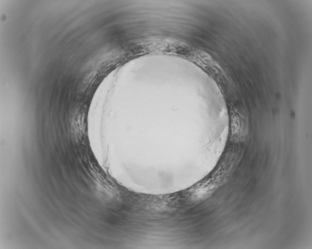 X0000087740820200706041034