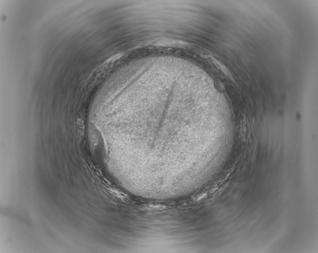 X0000087740821200706041034