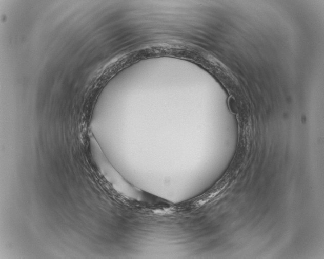 X0000087740822200706041034