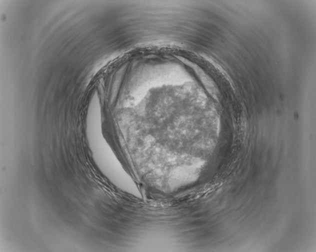 X0000087740823200706041034