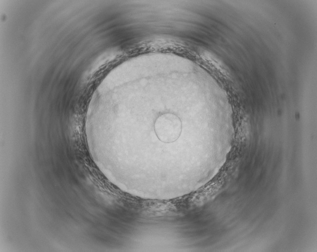 X0000087740824200706041034