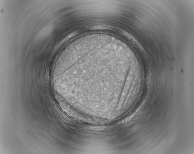 X0000087740825200706041034