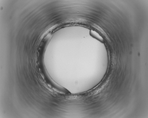 X0000087740826200706041034