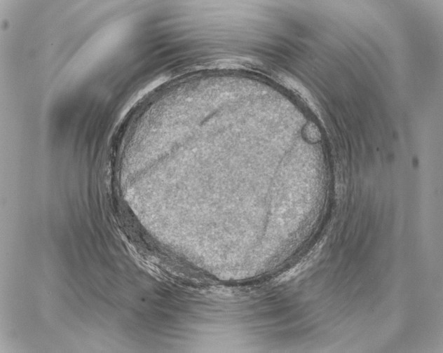 X0000087740827200706041034