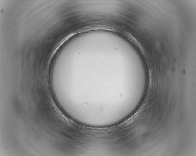 X0000087740828200706041034