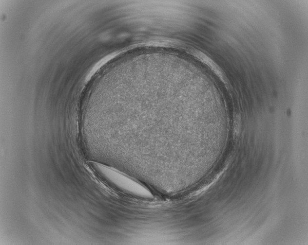 X0000087740829200706041034