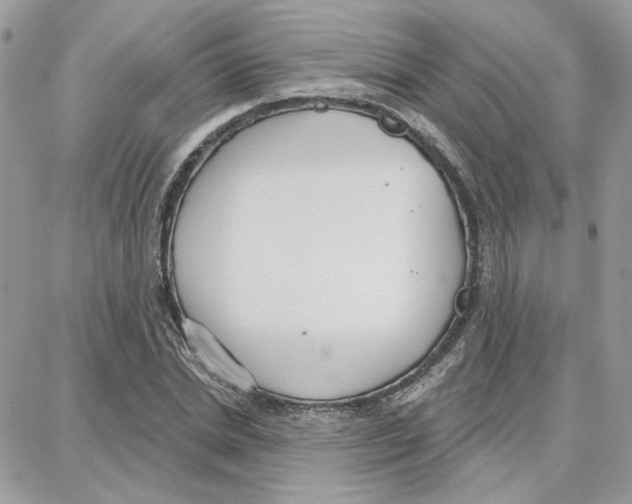 X0000087740830200706041034