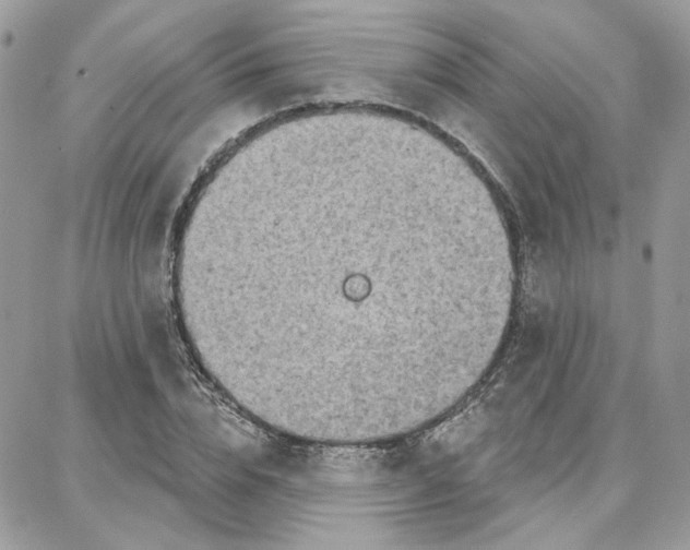 X0000087740832200706041034