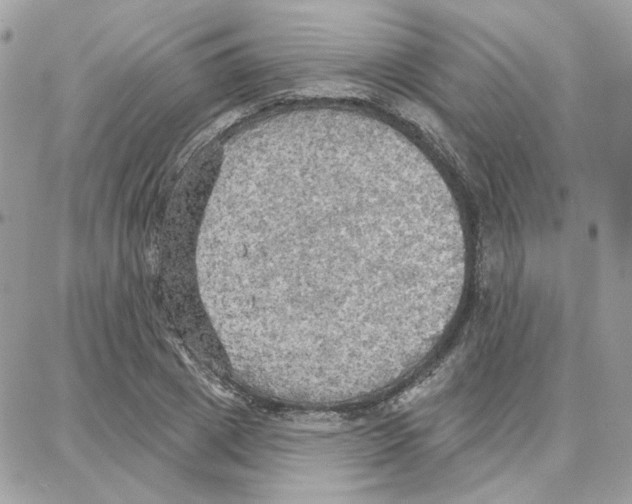 X0000087740833200706041034