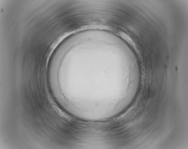 X0000087740836200706041034