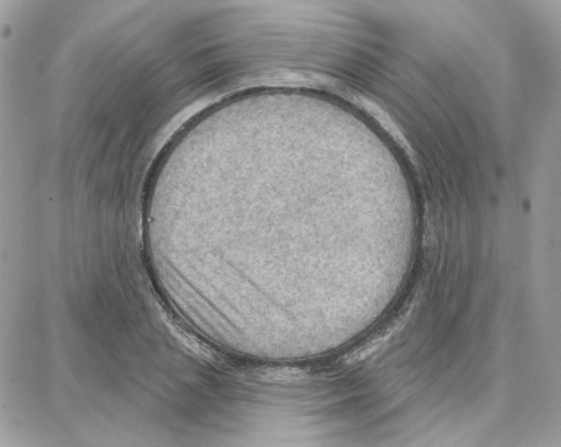 X0000087740837200706041035