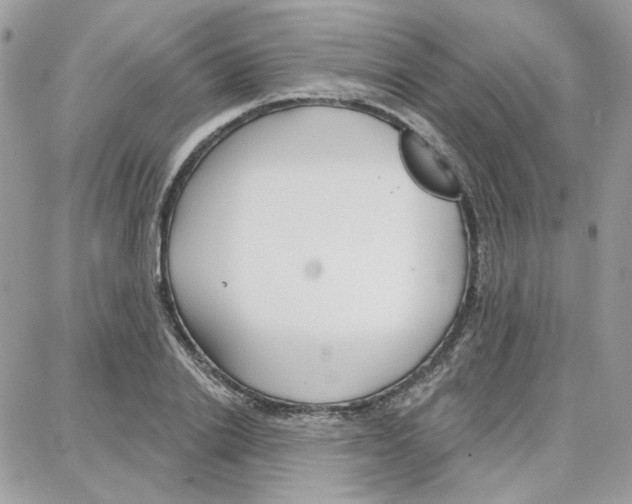 X0000087740838200706041035