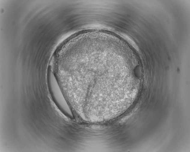 X0000087740839200706041035