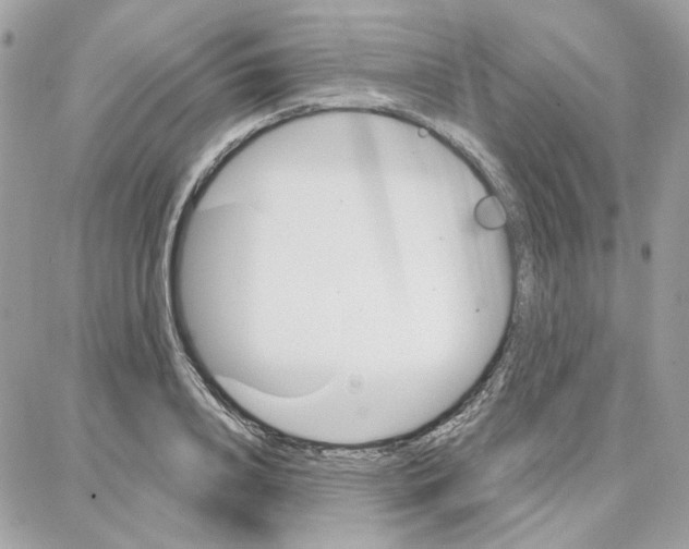 X0000087740840200706041035