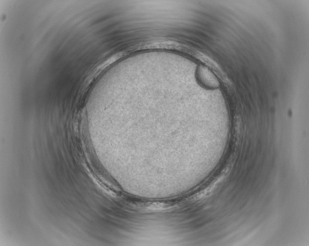 X0000087740841200706041035