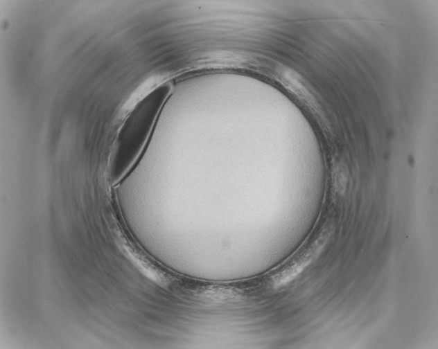 X0000087740842200706041035