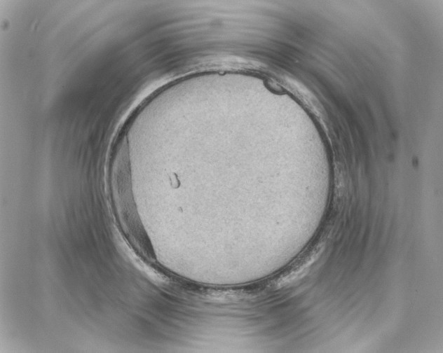 X0000087740843200706041035