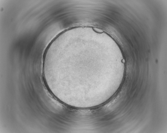 X0000087740844200706041035