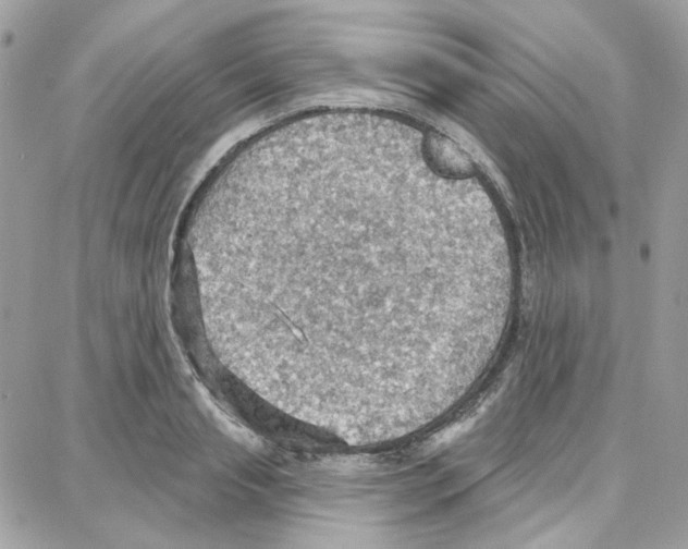 X0000087740845200706041035