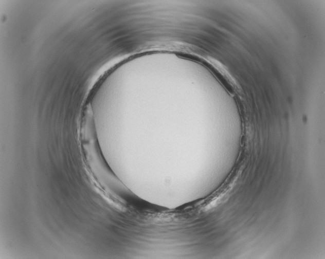 X0000087740846200706041035