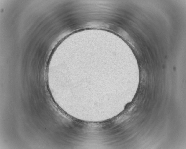 X0000087740848200706041035