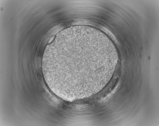 X0000087740849200706041035