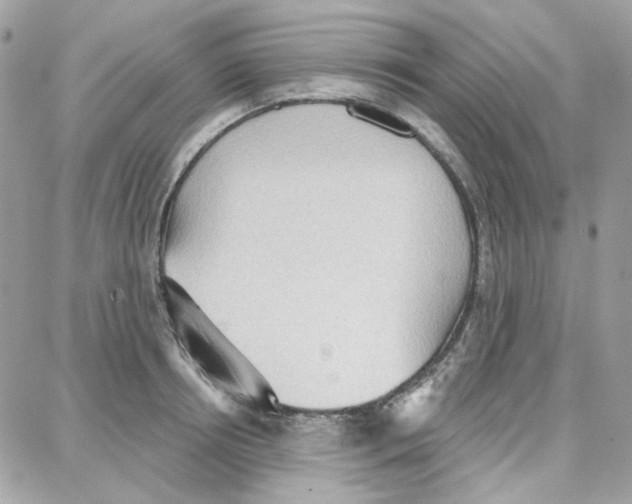 X0000087740850200706041035