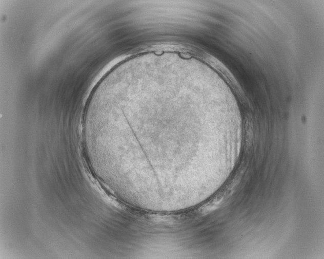 X0000087740852200706041035