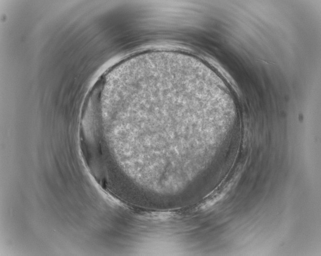 X0000087740853200706041035