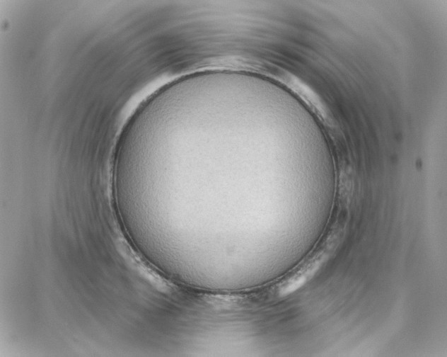 X0000087740854200706041035