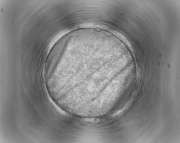 X0000087740855200706041035