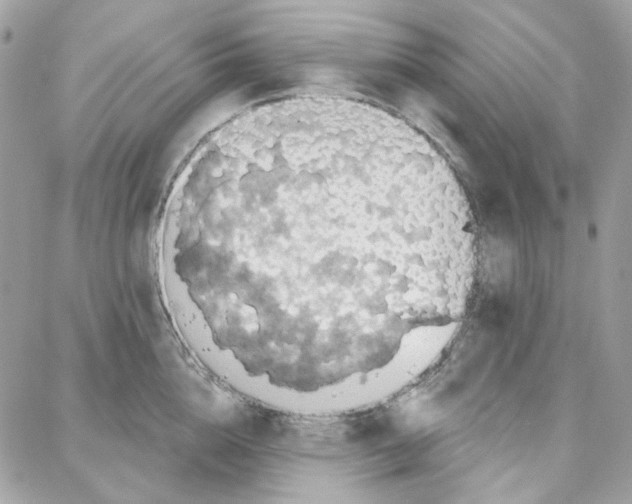 X0000087740856200706041035