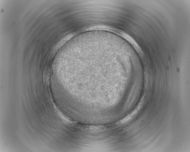 X0000087740857200706041035