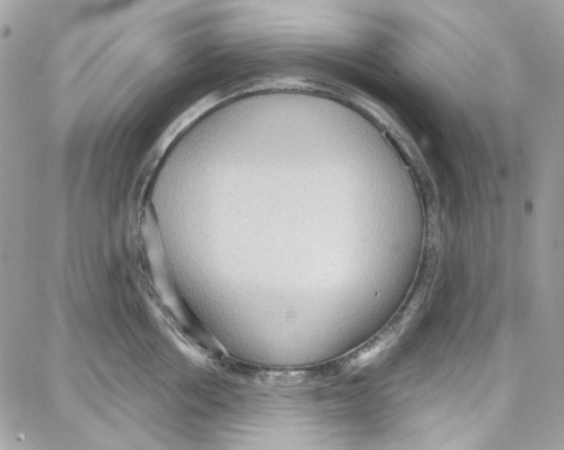 X0000087740858200706041035