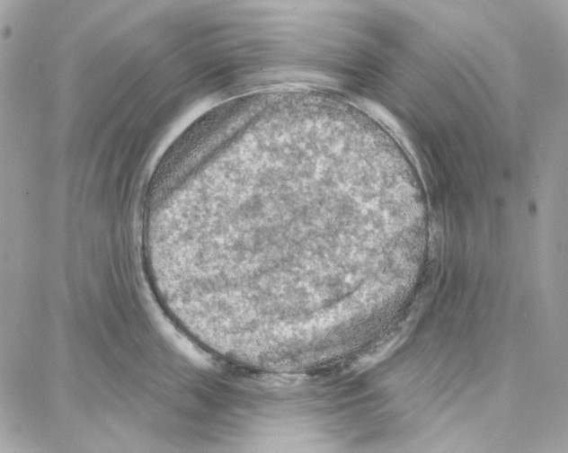 X0000087740859200706041035