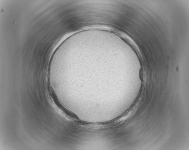 X0000087740860200706041035