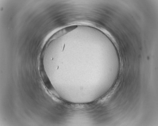 X0000087740862200706041035