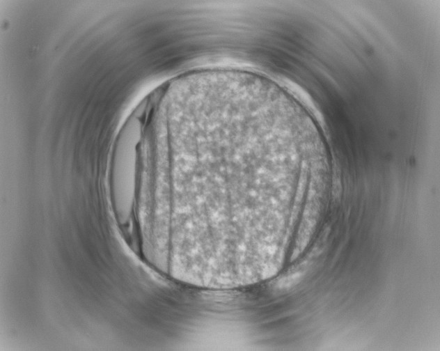 X0000087740863200706041035