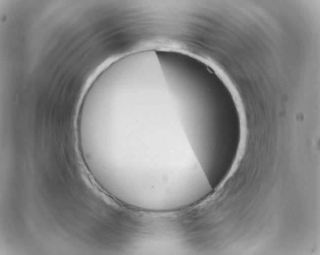 X0000087740864200706041035